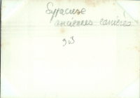 Verso