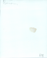 Verso
