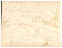 Verso