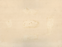 Verso