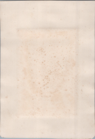 Verso